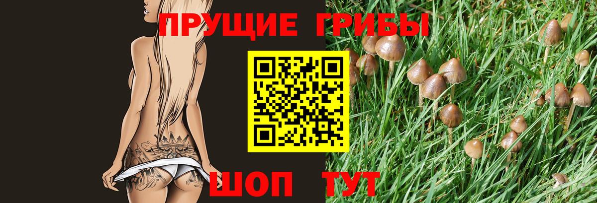 Псилоцибиновые грибы Cubensis  закладки  Вход с VPN  Нарткала  Псилоцибиновые грибы мухоморы 