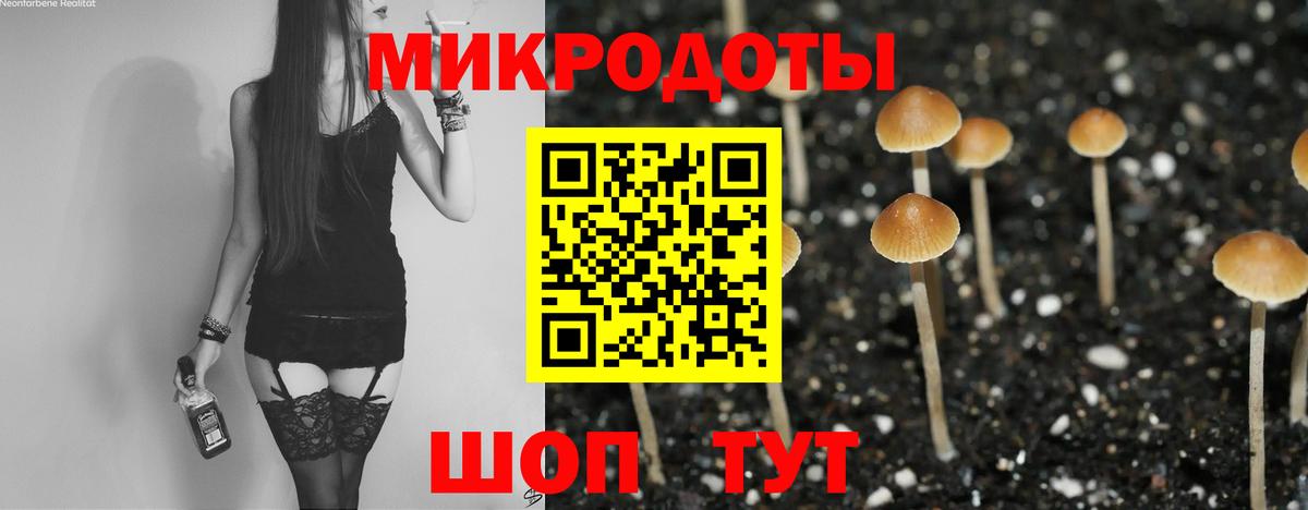 Псилоцибиновые грибы Psilocybe Нарткала